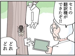 【セミファイナル】「セミの翻訳機ができたぞ!」セミに聞いてみると… - 「このセミに文学賞を」「悟りに到達してるやん」