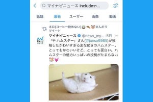 Twitter、検索コマンドの使い方 - キーワードからさらに絞り込む方法