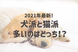 犬派と猫派、多いのはどっち?