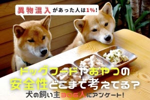 愛犬のドッグフードを選ぶ基準、2位「価格」 - 1位は?