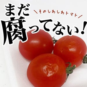 【それ捨ててない?】シワシワのミニトマトを5分でぷりぷりに復活させる方法 - 「すごい」「衝撃の事実」と驚きの声