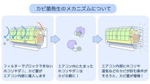 暖房時にカビが吹き出す!? エアコン掃除の注意点をパナソニックが解説