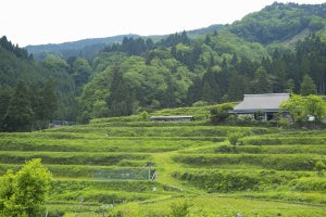 農山漁村への移住「願望ない」が7割超 - 移住するために必要な条件は?