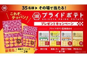 湖池屋、「鉄板ガーリック」など6袋のポテチが当たるキャンペーン開始