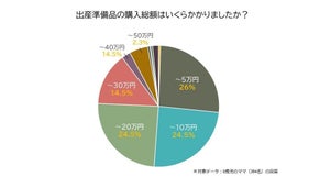 妊娠から出産、0歳の子育てまでにかかる自己負担金額はいくら? - 出産・育児費に関する調査