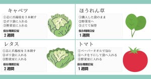 【一生使える】野菜の“冷蔵保存方法”をまとめた画像にツイッターで注目集まる - キャベツは芯に爪楊枝を……