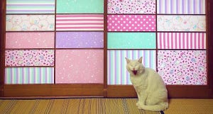 【かわいい】猫にズタボロにされた障子をカラフルにリメイク! 投稿者に聞いてみた