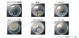 アルコール消毒では感染予防が難しいノロ・ロタウイルス、対策を解説【専門医監修】