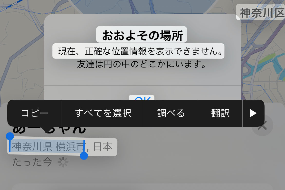 スクショの文字をコピーできますか? - いまさら聞けないiPhoneのなぜ