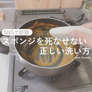 【裏技】もうスポンジを死なせない! "カレー鍋の洗い方"が簡単すぎる