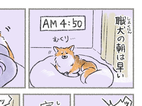 【職犬の朝は早い…】早朝に起こされる「犬アラーム」漫画に全国の飼い主から共感の嵐!! - 「全部わかる好き可愛い」「猫ですがわかります…!!」