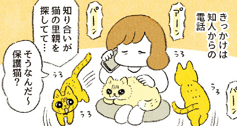 【漫画】「自分でお世話できないのに飼っちゃったの!?」ベンガルキャットが飼えなくなった理由とは…? - ベンガルのももちゃん・前編