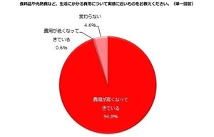 主婦が値上がりを実感している費用、3位「ガソリン」、2位「食料品」、1位は?