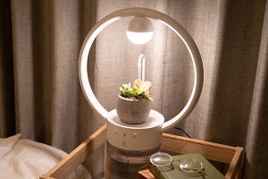 自動水やり機能とLEDを搭載、おしゃれなテーブルランプ「TANIQUE」