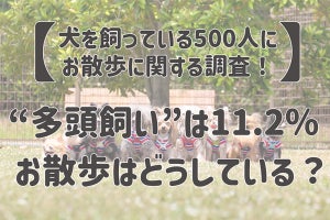 犬を2頭以上同時に散歩する人の半数が困った経験あり - どんな点に困った？