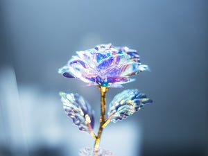 【超絶綺麗】“100均の薔薇”を撮影した写真にウットリ。「まるで宝石」「撮る人の腕がすごい」「見とれてしまう」と絶賛の声!!