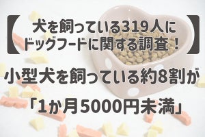 小型・中型犬を飼う約8割がドッグフードは月5,000円未満、与える回数は?