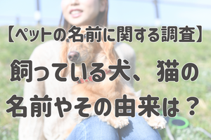 ペットの犬・猫にどのような名前を付けている? その由来とは?