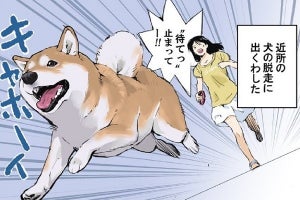 疾走する柴犬を捕まえる裏ワザ