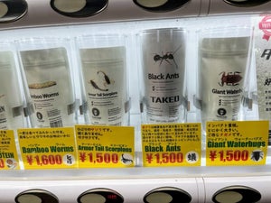 自販機で買える「昆虫食」を実食レビュー! 味と香りはエビだけど…見た目とのギャップに脳がバグった