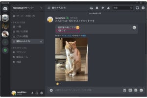 PC版Discordでテキストチャットをする