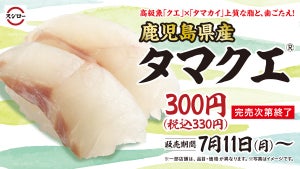 スシロー、ハイブリッド魚がついに登場! 「鹿児島県産タマクエ」期間限定で販売