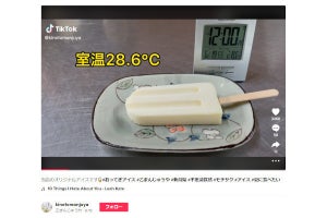 30分経っても溶けないアイスが話題に、ネット「それはもう餅では？」