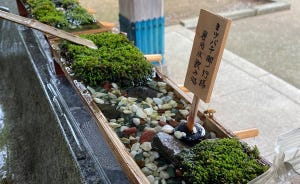 【優しい世界】とある神社が設置した“○○専用水飲み場”に称賛の嵐! -「童話の世界のよう」「癒されるぅ…」