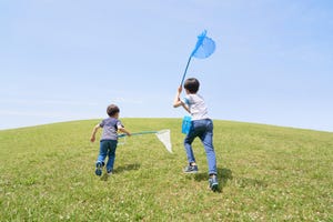 【重要】夏休み目前!! つい見落としがちな昆虫採集の“マナー”とは - 「トラップなどは確実に回収」「飼育マットを野外に捨てるのはNG」