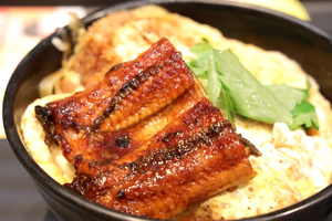 インパクト大!うな丼×かつ丼の「うなかつ丼」爆誕!実食した結果、相性よりも大事なことに気づいた【松のや】