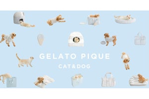 「ジェラート ピケ」より犬猫用アイテムを展開する新ラインが登場