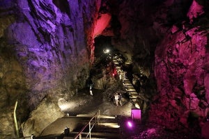 酷暑でもSo cool! 天然記念物「日原鍾乳洞」の地下空間で神秘体験 /街歩き研究家がそっと教える夏の東京の楽しみ方