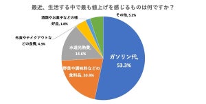 「値上げ」最も感じるもの、食料品を抑えた1位は?