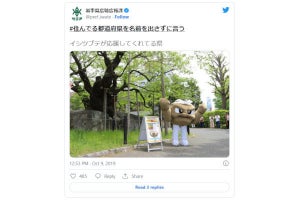 「いわて応援ポケモン」イシツブテの着ぐるみ、宙に浮いていると話題に