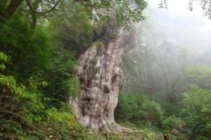 一生に一度は行ってみたい「離島」ランキング、1位は? - 2位小笠原諸島