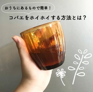 【恐ろしいほど取れます】水とめんつゆに〇〇を混ぜるだけ! 簡単「コバエホイホイ」の作り方