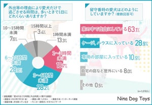 犬の散歩は1日2回が多数派! 愛犬の健康を守るために必要な習慣とは?