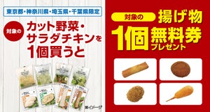 【お得な誘惑】1都3県のセブン-イレブン限定、カット野菜・サラダチキン購入で揚げ物が1個無料に - 東京・神奈川・埼玉・千葉の店舗で