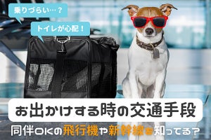 約4割の飼い主、「愛犬と公共交通機関を利用した」 - 困ったことは?