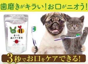 犬・猫の口臭を3秒でケアできる! 無添加サプリ「食べる歯磨き革命」のお試しモニター募集