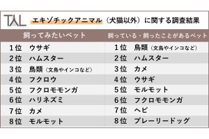 飼っているエキゾチックアニマル、「ハムスター」「カメ」を抑えた1位は?