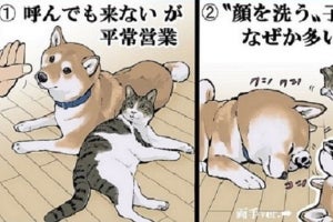 柴犬、実は中味は猫?