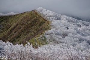 山の景色が真っ二つになった理由は? 