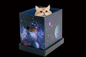 あの「ムー」が公認猫グッズを発売! 宇宙猫製造BOX、ピラミッド寝殿など