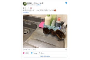 「たわしに擬態した毬栗」 高尾山ケーブルカー公式の写真ツイートに、ネット「悪戯めっちゃセンスがイイ」