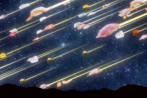 寿司が星座に！ 大分県に「寿司ネタリウム」が登場し、ネット「最高だと思う」