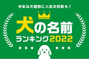 漢字を使った愛犬の名前ランキング、男の子1位は「福」、女の子は?