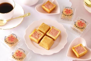 資生堂パーラー、甘酸っぱいいちごを贅沢に味わう「冬のチーズケーキ」数量限定発売