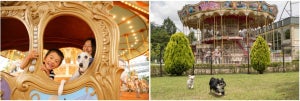 入園無料! 愛犬と一緒に遊園地を楽しめる「ふじQワンぱーく」を11月に開催