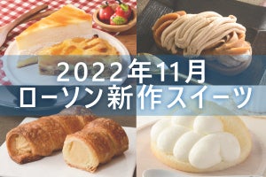 【11月7日更新!】ローソン「今月の新作スイーツ」5商品まとめてご紹介!